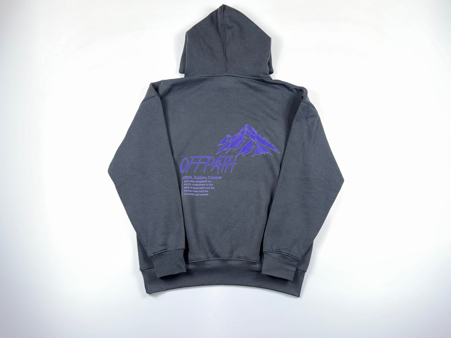 Charcoal / Purple Oversized Hoodie